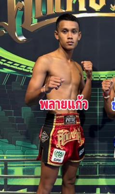 พลายแก้ว ส.บุญมีฤทธิ์
