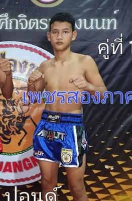 เพชรสองภาค ป.ประวิทย์