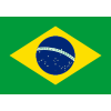 Logo Team บราซิล