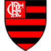 Logo Team ฟลาเมงโก