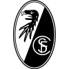 Logo Team ไฟร์บวร์ก (ญ)